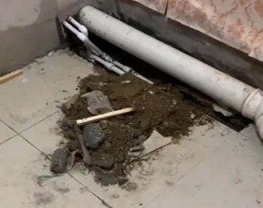 友谊卫生间漏水检测哪家好