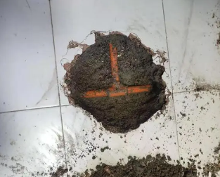 友谊查漏水多少钱